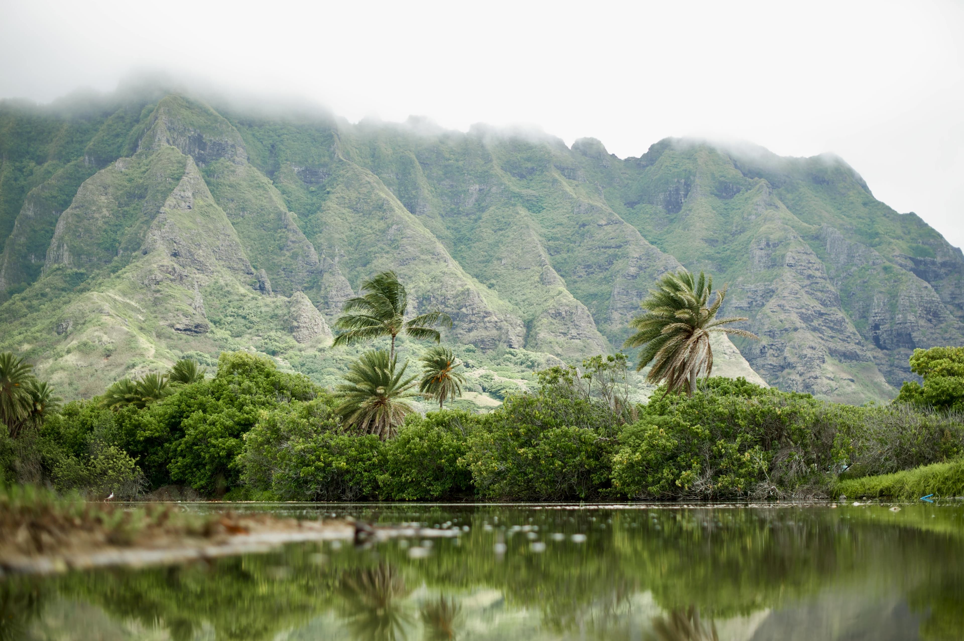 Classic Oahu Scenic & Cultural
